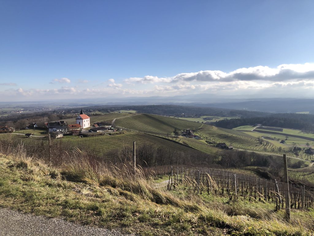 Izziv: pomladanski tek na Šmartno